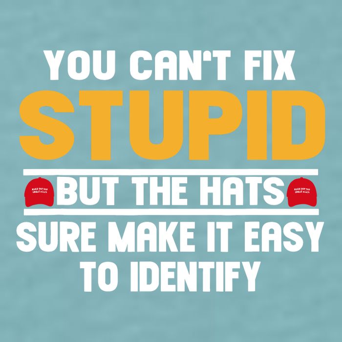 You CanT Fix Stupid But The Hats Sure Make It Easy Sueded Cloud Jersey T-Shirt