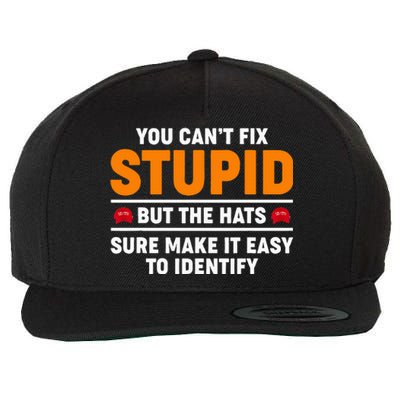 You CanT Fix Stupid But The Hats Sure Make It Easy Identify Wool Snapback Cap