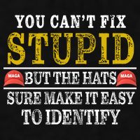 You Can't Fix Stupid But The Hats Sure Make It Easy To Identify Funny Ladies PosiCharge Tri-Blend Wicking Tank