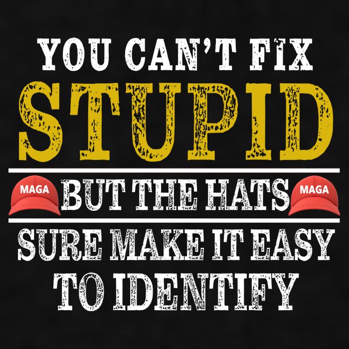 You Can't Fix Stupid But The Hats Sure Make It Easy To Identify Funny Ladies PosiCharge Tri-Blend Wicking Tank