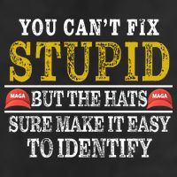 You Can't Fix Stupid But The Hats Sure Make It Easy To Identify Funny Cool Comfort Performance Bucket Hat