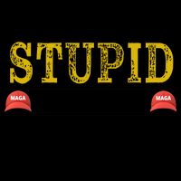 You Can't Fix Stupid But The Hats Sure Make It Easy To Identify Funny Mug