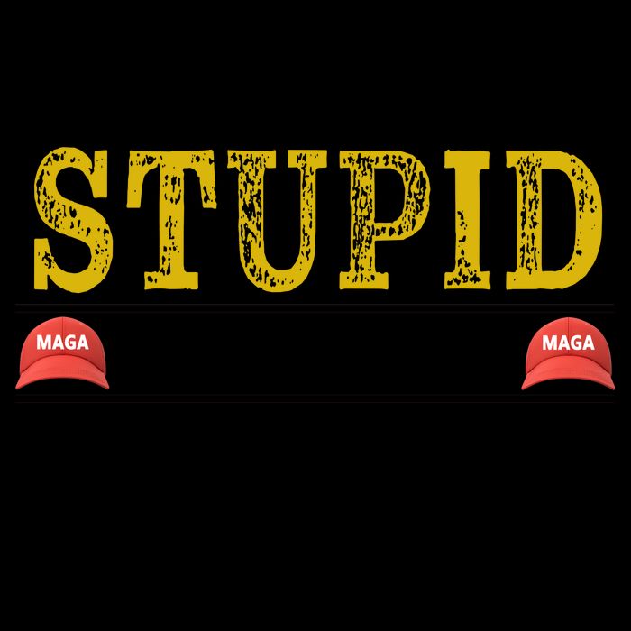 You Can't Fix Stupid But The Hats Sure Make It Easy To Identify Funny Mug