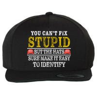 You Can't Fix Stupid But The Hats Sure Make It Easy To Identify Funny Wool Snapback Cap