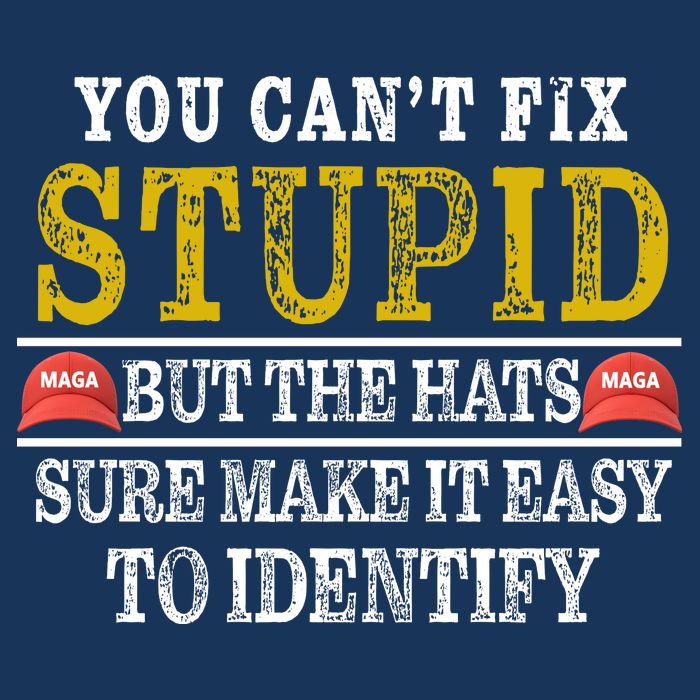 You Can't Fix Stupid But The Hats Sure Make It Easy To Identify Funny Infant Baby Jersey Bodysuit