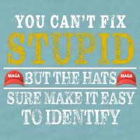 You Can't Fix Stupid But The Hats Sure Make It Easy To Identify Funny Sueded Cloud Jersey T-Shirt