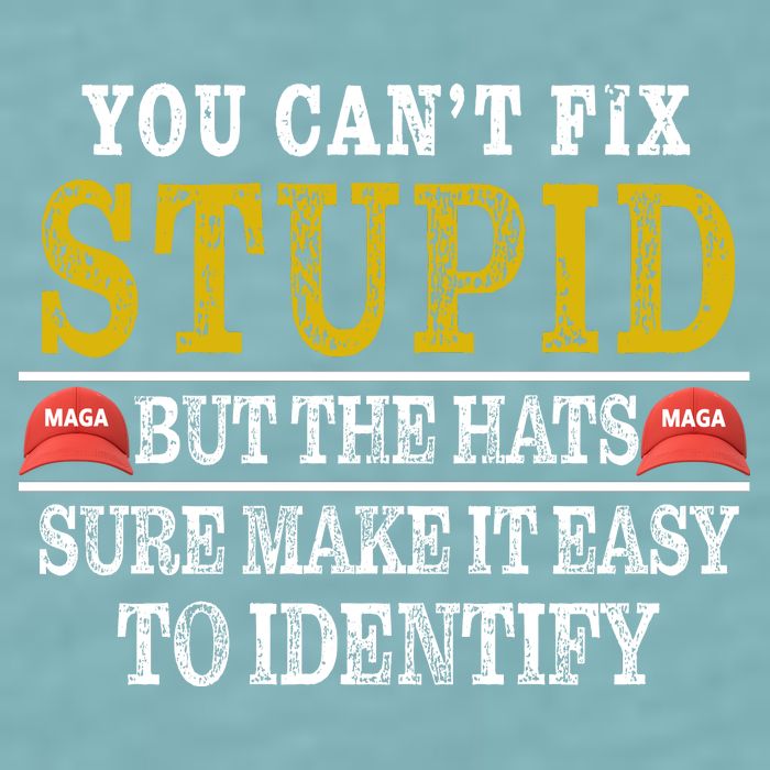 You Can't Fix Stupid But The Hats Sure Make It Easy To Identify Funny Sueded Cloud Jersey T-Shirt