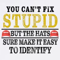 You Can't Fix Stupid But The Hats Sure Make It Easy To Identify Funny Garment-Dyed Sweatshirt