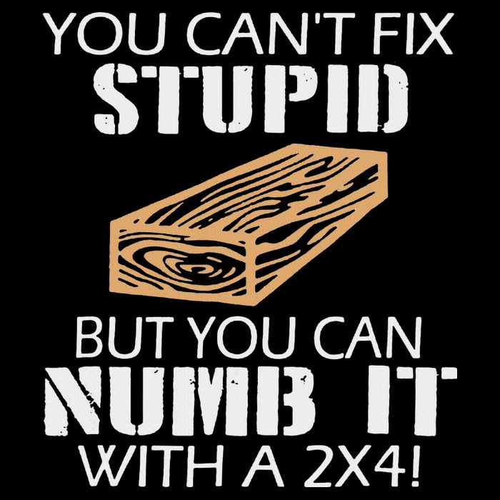 You Can't Fix Stupid But You Can Numb It With A 2x4 Funny Mousepad