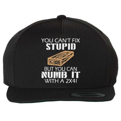 You Can't Fix Stupid But You Can Numb It With A 2x4 Funny Wool Snapback Cap