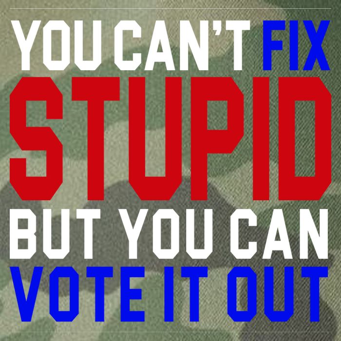 You Can't Fix Stupid But You Can Vote It Out Legacy Tie Dye Trucker Hat