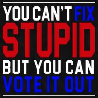 You Can't Fix Stupid But You Can Vote It Out Ladies PosiCharge Tri-Blend Wicking Tank