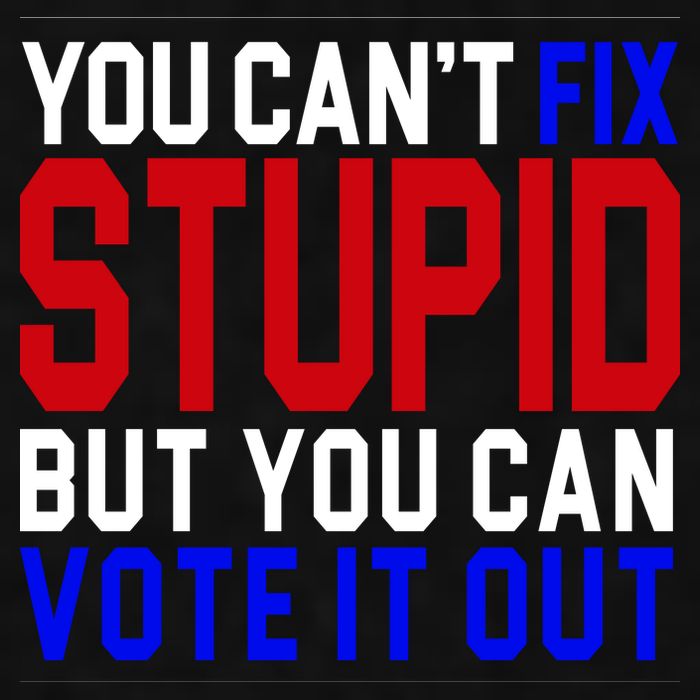 You Can't Fix Stupid But You Can Vote It Out Ladies PosiCharge Tri-Blend Wicking Tank
