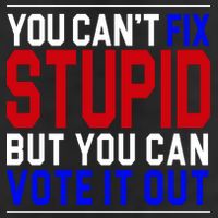 You Can't Fix Stupid But You Can Vote It Out 7 Panel Mesh Trucker Snapback Hat