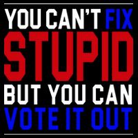 You Can't Fix Stupid But You Can Vote It Out Daily Commute Backpack