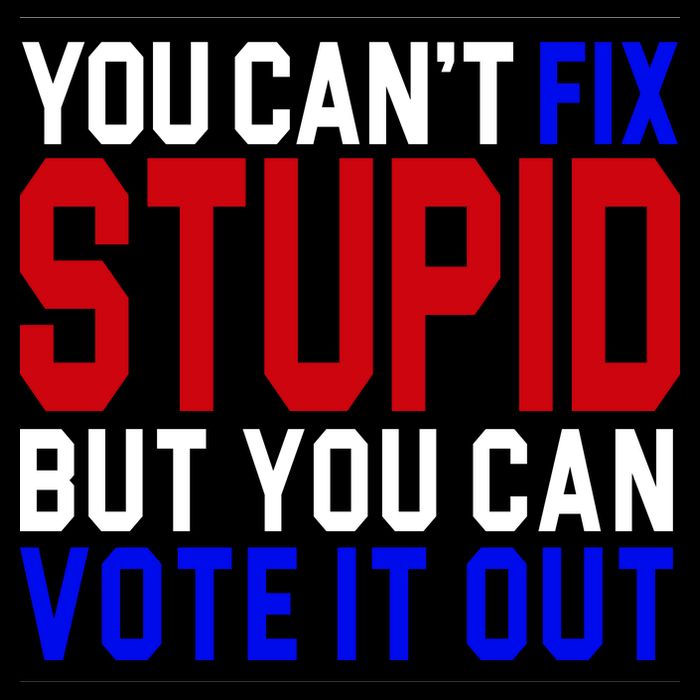 You Can't Fix Stupid But You Can Vote It Out Zip Tote Bag