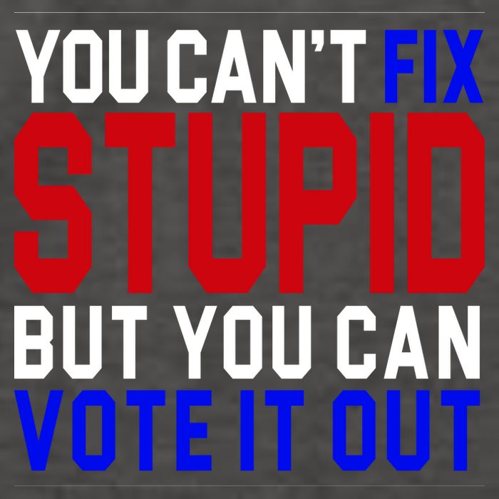 You Can't Fix Stupid But You Can Vote It Out Vector Backpack