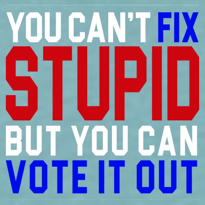 You Can't Fix Stupid But You Can Vote It Out Sueded Cloud Jersey T-Shirt