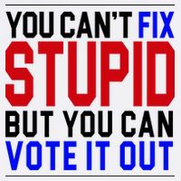 You Can't Fix Stupid But You Can Vote It Out Visor