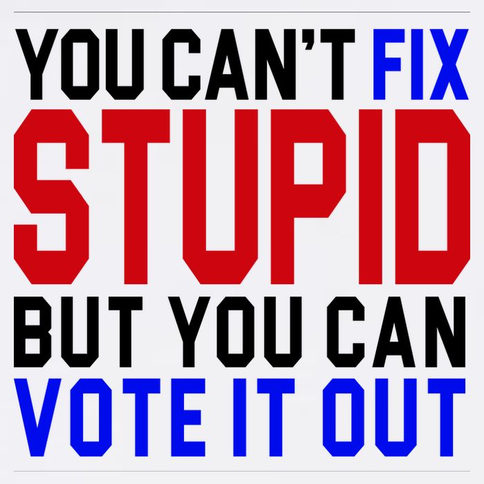 You Can't Fix Stupid But You Can Vote It Out Wool Snapback Cap