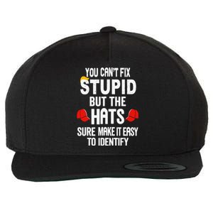 You Can’T Fix Stupid But The Hats Make It Easy To Identify Wool Snapback Cap