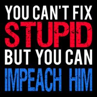 You CanT Fix Stupid But You Can Impeach Trump Anti Trump Gift Mug