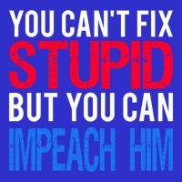 You CanT Fix Stupid But You Can Impeach Trump Anti Trump Gift Tall T-Shirt