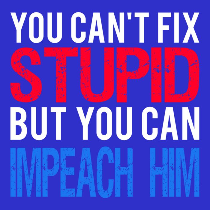 You CanT Fix Stupid But You Can Impeach Trump Anti Trump Gift Tall T-Shirt