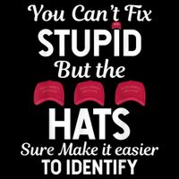 You Cant Fix Stupid But The Hats Sure Make It Easy Identify Baby Bodysuit