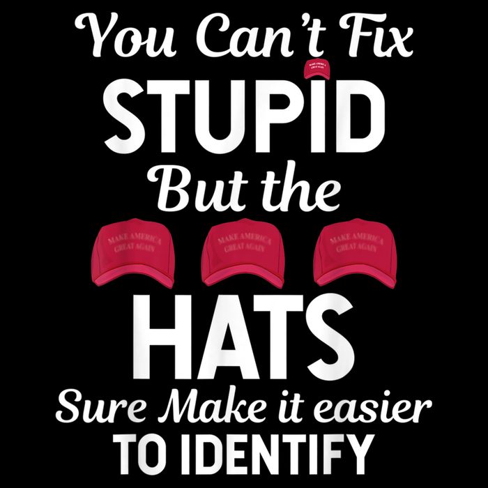 You Cant Fix Stupid But The Hats Sure Make It Easy Identify Baby Bodysuit