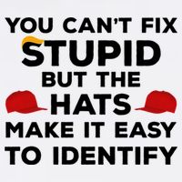 You Can't Fix Stupid But The Hats Make It Easy To Identify Funny Anti Trump Mousepad