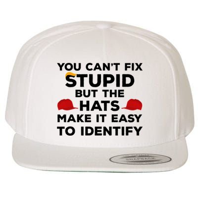 You Can't Fix Stupid But The Hats Make It Easy To Identify Funny Anti Trump Wool Snapback Cap