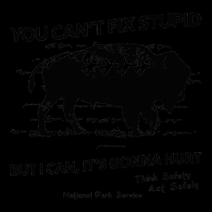 You Can’T Fix Stupid But I Can ItS Gonna Hurt Funny Quote 16oz Travel Tumbler
