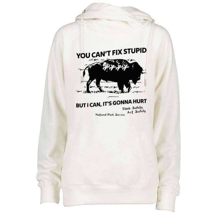 You Can’T Fix Stupid But I Can ItS Gonna Hurt Funny Quote Womens Funnel Neck Pullover Hood