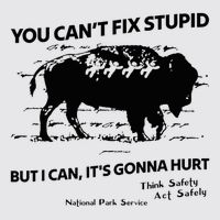 You Can’T Fix Stupid But I Can ItS Gonna Hurt Funny Quote Womens Funnel Neck Pullover Hood