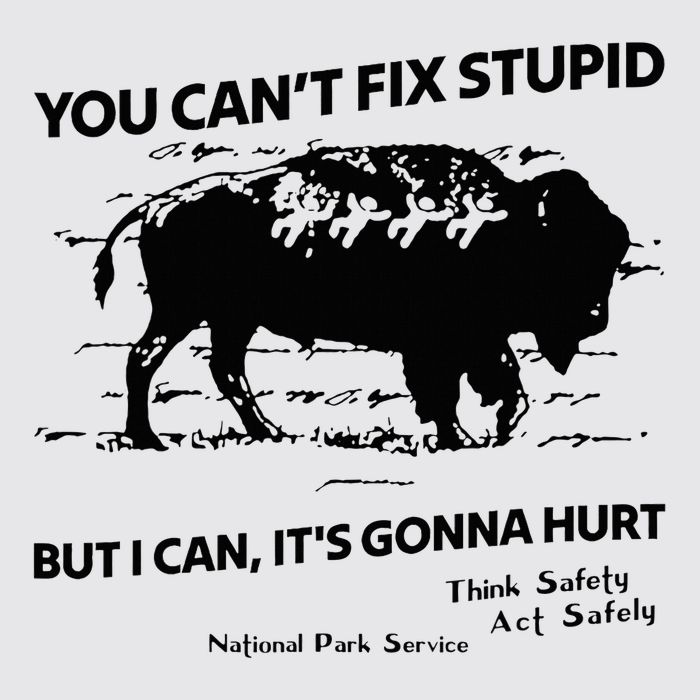 You Can’T Fix Stupid But I Can ItS Gonna Hurt Funny Quote Womens Funnel Neck Pullover Hood