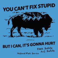 You Can’T Fix Stupid But I Can ItS Gonna Hurt Funny Quote Tie Dye Hoodie