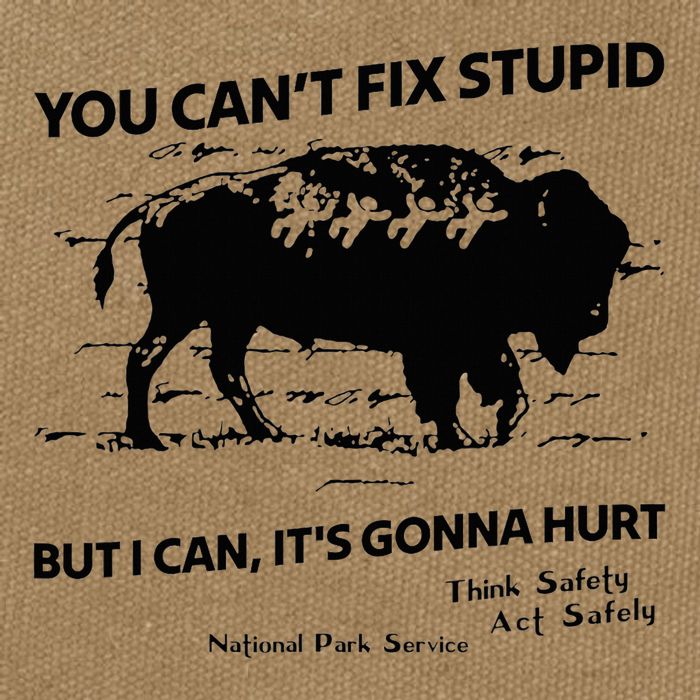 You Can’T Fix Stupid But I Can ItS Gonna Hurt Funny Quote Cotton Canvas Backpack