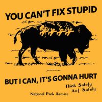 You Can’T Fix Stupid But I Can ItS Gonna Hurt Funny Quote Pom Pom 12in Knit Beanie