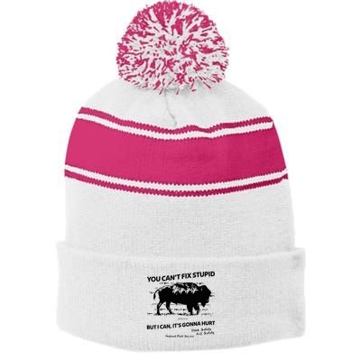 You Can’T Fix Stupid But I Can ItS Gonna Hurt Funny Quote Stripe Pom Pom Beanie