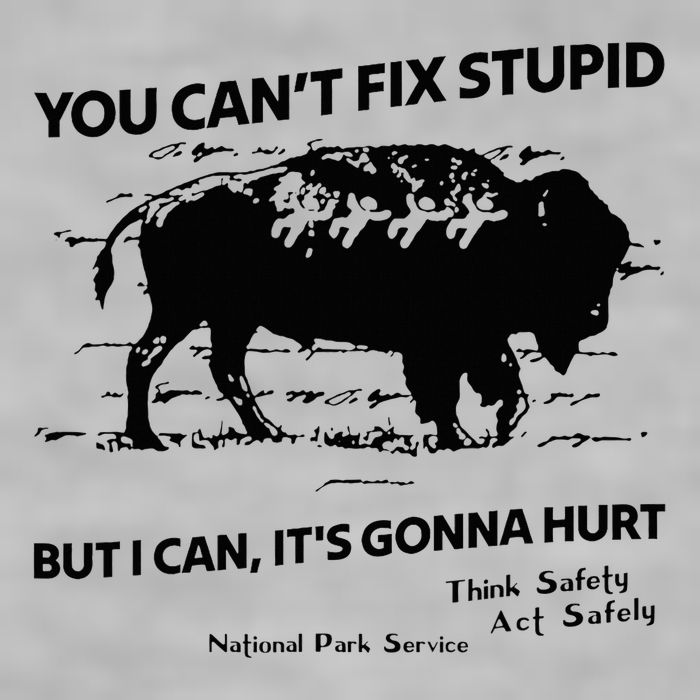 You Can’T Fix Stupid But I Can ItS Gonna Hurt Funny Quote Ladies PosiCharge Tri-Blend Wicking Tank