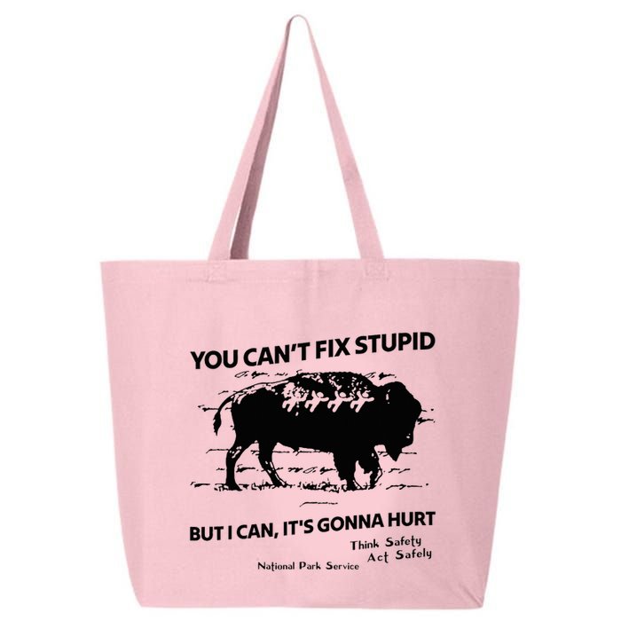 You Can’T Fix Stupid But I Can ItS Gonna Hurt Funny Quote 25L Jumbo Tote