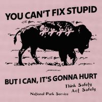 You Can’T Fix Stupid But I Can ItS Gonna Hurt Funny Quote 25L Jumbo Tote