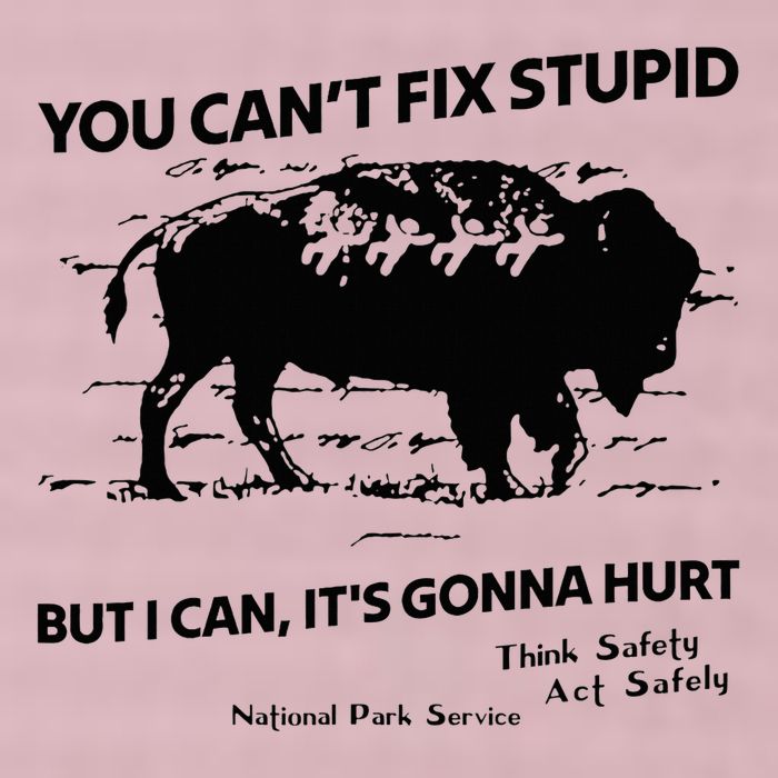 You Can’T Fix Stupid But I Can ItS Gonna Hurt Funny Quote 25L Jumbo Tote