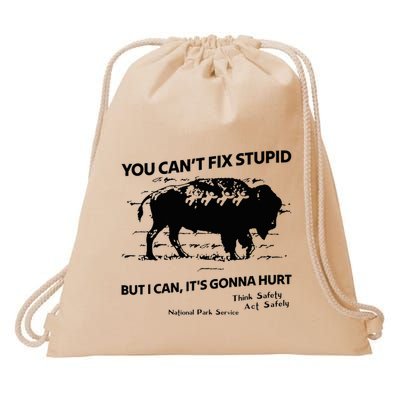 You Can’T Fix Stupid But I Can ItS Gonna Hurt Funny Quote Drawstring Bag