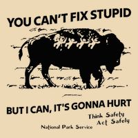 You Can’T Fix Stupid But I Can ItS Gonna Hurt Funny Quote Drawstring Bag