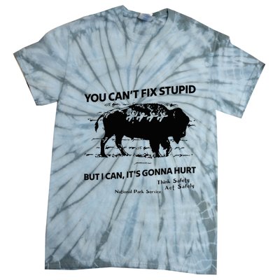 You Can’T Fix Stupid But I Can ItS Gonna Hurt Funny Quote Tie-Dye T-Shirt