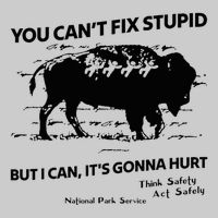 You Can’T Fix Stupid But I Can ItS Gonna Hurt Funny Quote Tie-Dye T-Shirt
