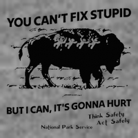 You Can’T Fix Stupid But I Can ItS Gonna Hurt Funny Quote 7-Panel Snapback Hat