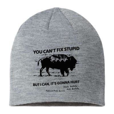 You Can’T Fix Stupid But I Can ItS Gonna Hurt Funny Quote Sustainable Beanie